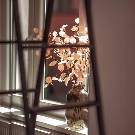 Apartments Kwidzyn Daire *